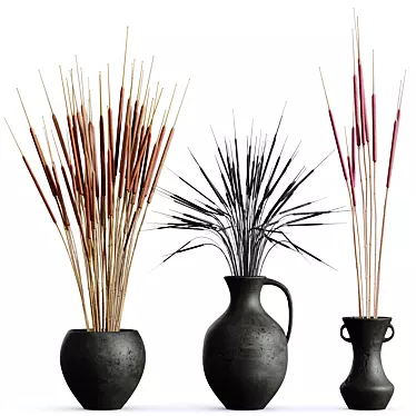 Pampas Branches Decor Set, 3D 3D model image 1 