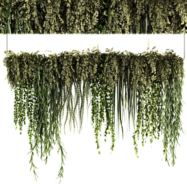 Set50 Hanging Indoor Plant Models 3D model image 1 