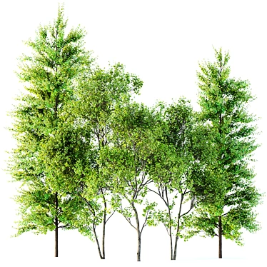 Spring Trees 3D Model Bundle 3D model image 1 