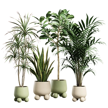 Exotic Indoor Plants Collection Bundle 3D model image 1 