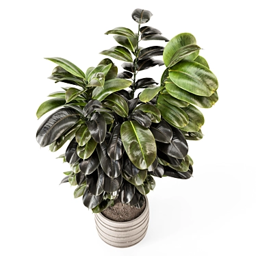 Modern Concrete Indoor Plants Set 3D model image 1 