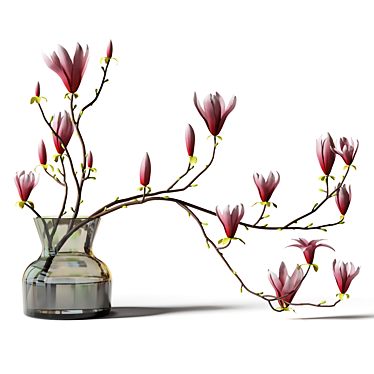 Elegant Magnolia Branch in Glass Vase 3D model image 1 