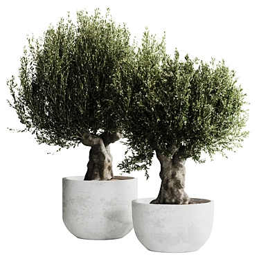 Corona-Ready Olive Plant Set 3D model image 1 