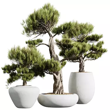 Elegant Olive Tree Trio Set 3D model image 1 