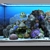 Ocean Bliss Glass Aquarium 3D model small image 14