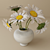 Fresh Daisies Bouquet in Vase 3D model small image 1