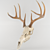 Poly Deer Skull Sculpture 3D model small image 1