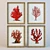  "Red Coral" Framed Painting 3D model small image 1