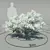 Flowering Dogwood: Elegant Cornus Florida 3D model small image 1