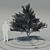 Elegant Flowering Dogwood Tree 3D model small image 2
