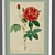 Redoute's Art Prints - Exquisite Masterpieces 3D model small image 2