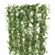 Versatile Ivy Plant: 3 Height Options 3D model small image 2