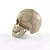 Skull Texture for Photoshop 3D model small image 2