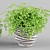 Adiantum Houseplant | Vray, Max 2011, FBX, Textures, Render 3D model small image 3