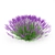 Exterior Lavender Bush 3D model small image 1