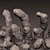 Color-changing Decorative Coral 3D model small image 1