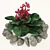 Heartleaf Bistort: Long-lasting Perennial Model 3D model small image 1