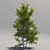 Giant Tree: Geometric Foliage 3D model small image 2