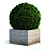 Round Bush 3D Model 3D model small image 2