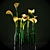 Citrus Delight Calla Lily 3D model small image 1