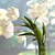 Elegant Tulip Bouquet 3D model small image 3