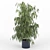 Nerium - Exquisite Oleander Essence 3D model small image 1
