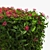 Exotic Blooms Live Hedge 3D model small image 2