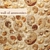 Fossil Ammonite Wall Décor 3D model small image 1