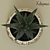 Haworthia - Stunning Ornamental Plant 3D model small image 2