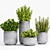 Exquisite Decorative Plant Set 3D model small image 1