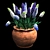 Vibrant Spring Muscari Flowers 3D model small image 1