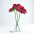 Vibrant Gerbera Bouquet 3D model small image 2