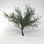  Desert Dream Mesquite Tree 3D model small image 1