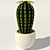 Blooming Cactus in Pot 3D model small image 2