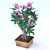 Desert Bloom: Adenium 3D model small image 1