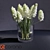 CoronaRender-ready Muscari_Hyacinthaceae 3D model small image 1