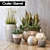 Modern Botanical Set | Crate&Barrel 3D model small image 1