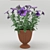 Petunia Flower Pot: Stunning Terrace & Balcony Decor! 3D model small image 2