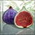 Delicious Figs for Lifelike 3D Renders 3D model small image 2
