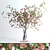 Realistic Pink Dogwood Blossom Branches 3D model small image 1