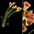 Realistic Red Callas in Glass Vase 3D model small image 1