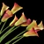 Realistic Red Callas in Glass Vase 3D model small image 2