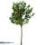 Realistic 4.5m Tilia Tree 3D model small image 1