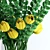 Realistic Yellow Tulips & Moluccella Bouquet 3D model small image 2