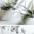 Exquisite Orchid 3D Model 3D model small image 3