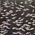 Edo Night Fishes: De Gournay Wallpapers 3D model small image 2