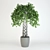 Vintage Fikus: 1950mm Height 3D model small image 1