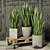 Rolling Sansevieria: Convenient and Stylish 3D model small image 1