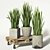 Rolling Sansevieria: Convenient and Stylish 3D model small image 2