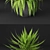 Elegant Fern Duo 3D model small image 2